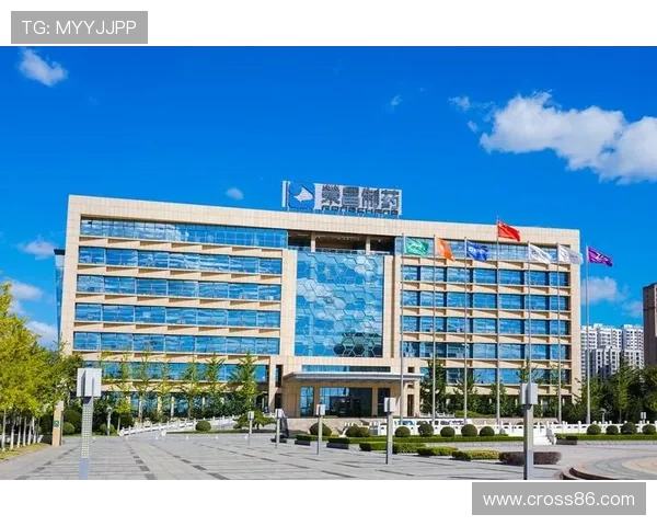 快速掌握凯发体育集团网址查询方法避免误入非法网站风险
